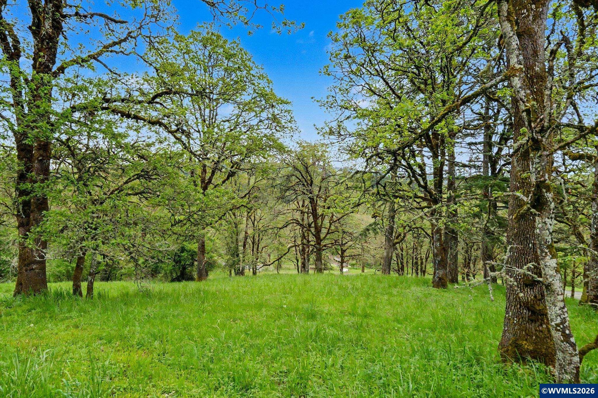 1299 Twin Hills Road Southeast Jefferson, OR 97352 - Photo 14 of 47 a view of yard with green space