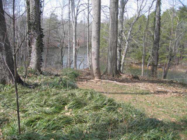 1440 Chesterfield Road Clemmons, NC 27012 - Photo 8 of 9 Other.
