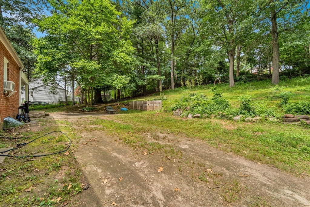 295 Harkness Avenue Springfield, MA 01118 - Photo 34 of 39 a view of a yard with plants and large trees