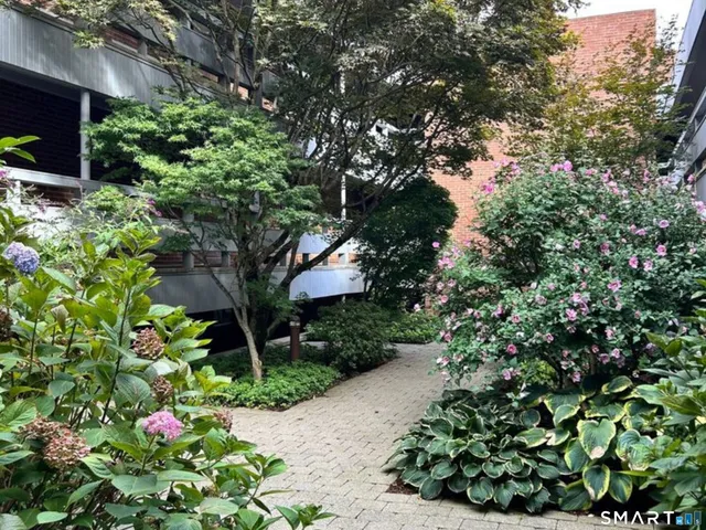 a tree lined with flowers