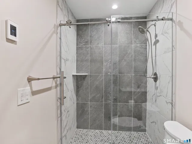 a bathroom with a shower and a toilet