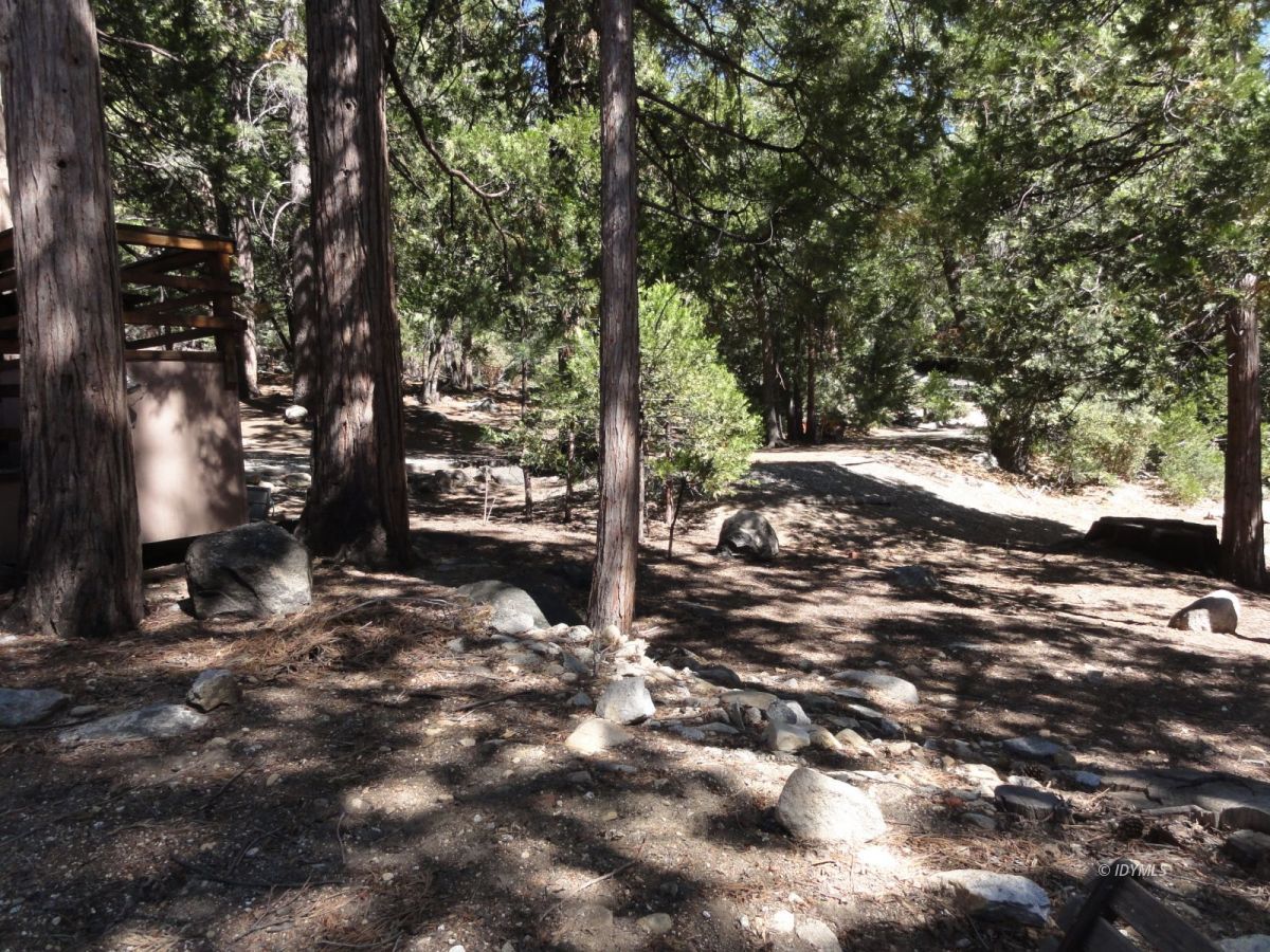 24945 Fern Valley Road Idyllwild, CA 92549 - Photo 25 of 28 a view of a trees