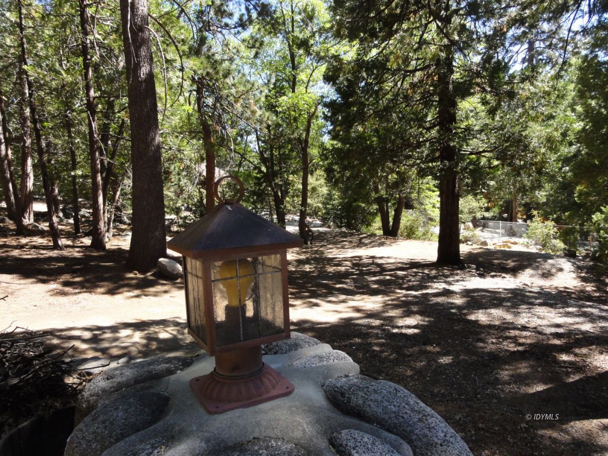 24945 Fern Valley Road Idyllwild, CA 92549 - Photo 4 of 28 a view of a yard with plants and trees