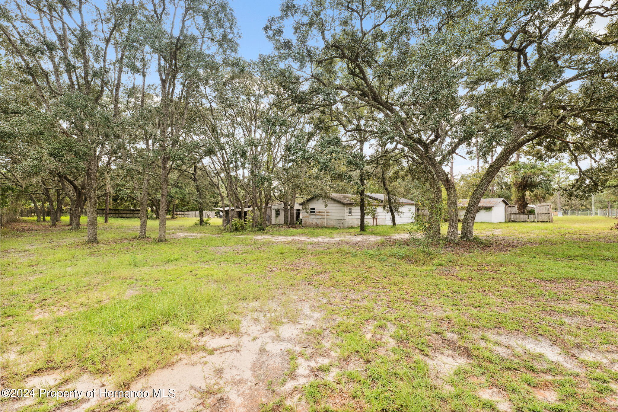 11017 Knuckey Road Weeki Wachee, FL 34614 - Photo 25 of 39 a view of yard with trees