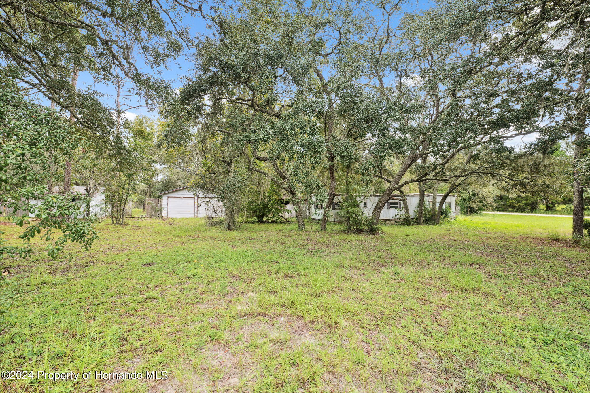 11017 Knuckey Road Weeki Wachee, FL 34614 - Photo 28 of 39 a view of a trees with a yard