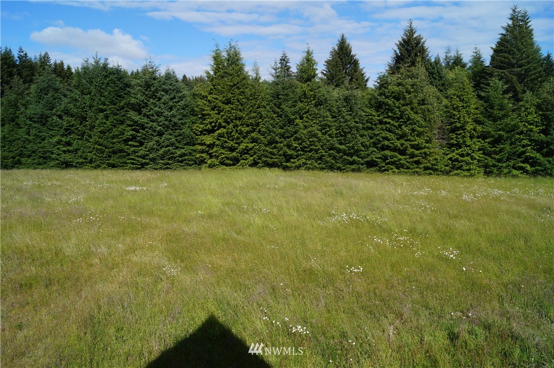 278 Lund Road Cosmopolis, WA 98537 - Photo 19 of 23 Gallery Image 19