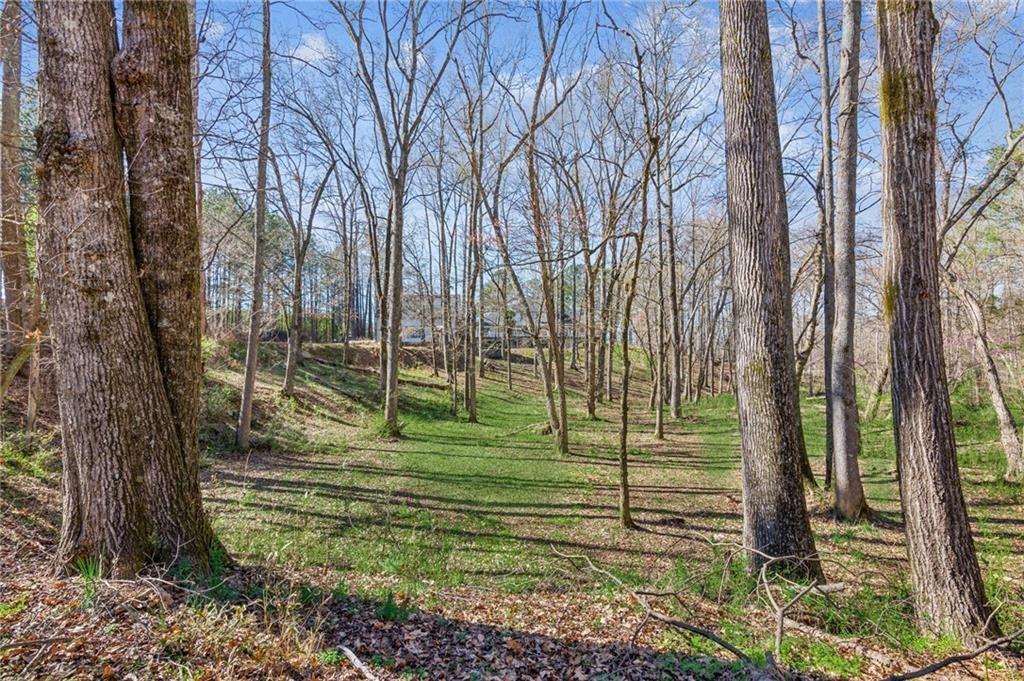 11637 Brown Bridge Road Covington, GA 30016 - Photo 67 of 68