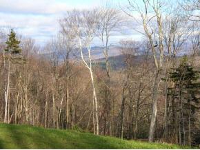 122 Windham Springs Road Windham, VT 05359 - Photo 5 of 5