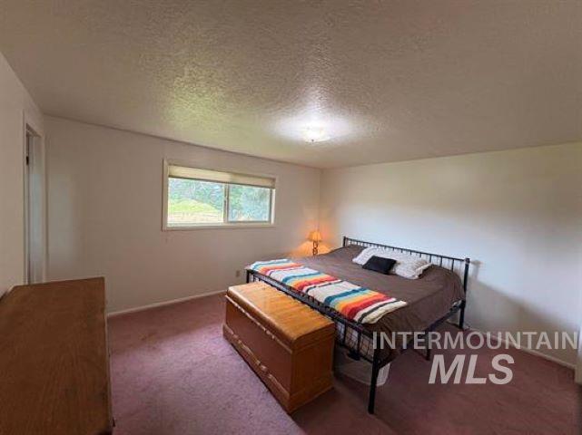 3197 Neeley Road American Falls, ID 83211 - Photo 21 of 45 Bedroom featuring a window with natural light, textured ceiling, light-colored walls, and a built-in closet with a white door