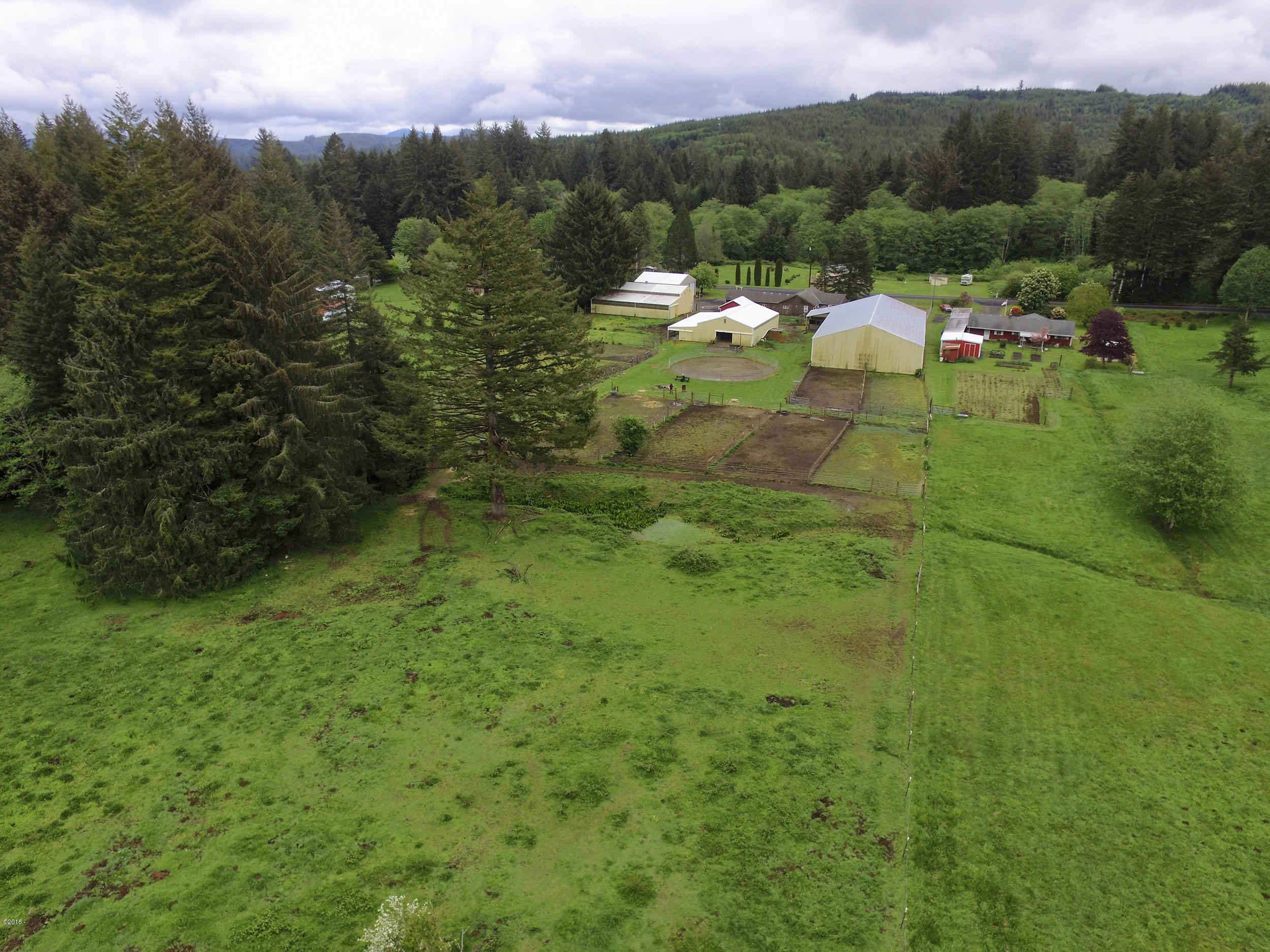 290 Camp 12 Loop Toledo, OR 97391 - Photo 2 of 29 Back Pasture