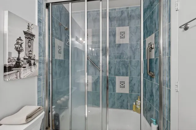 a bathroom with a shower and toilet