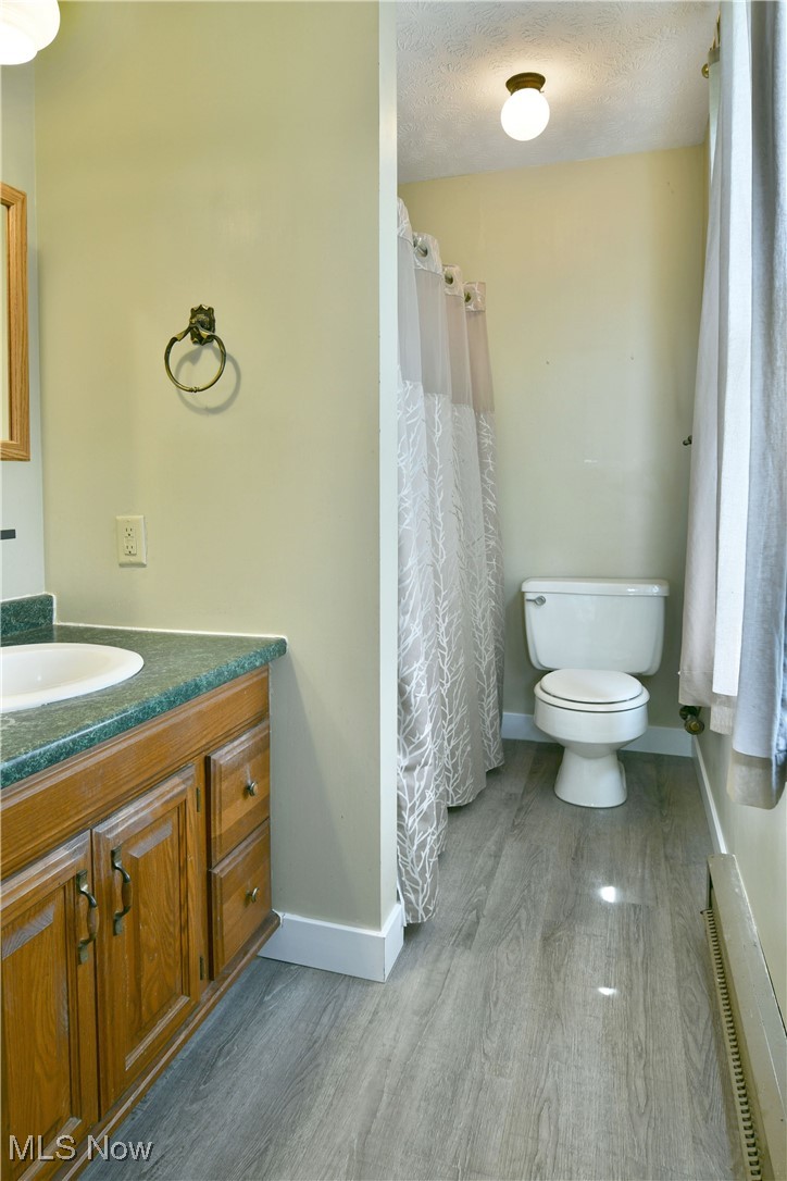 5531 Phillips Rice Road Cortland, OH 44410 - Photo 43 of 50 Full bathroom with wood finished floors, vanity, and a shower with shower curtain