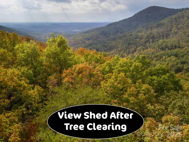 a view of a road with a yard in the back