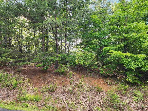 a view of a garden with pathway