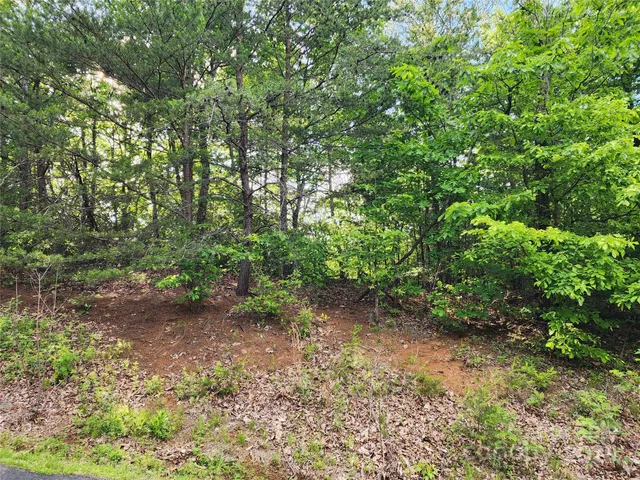 a view of a garden with pathway