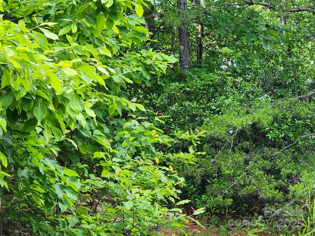 a view of a large yard with lots of green space