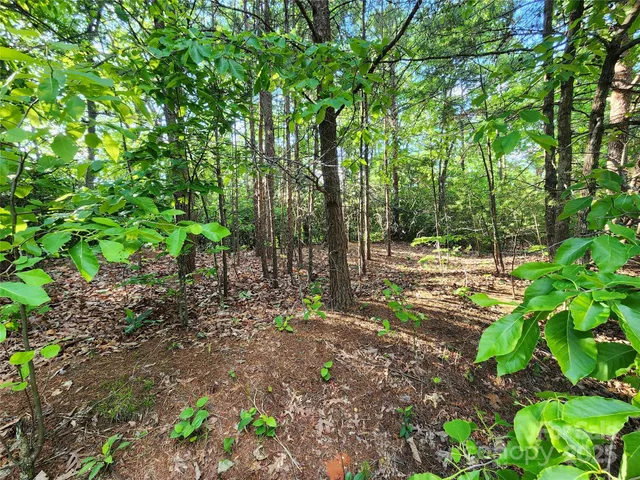 a view of a large yard with lots of green space