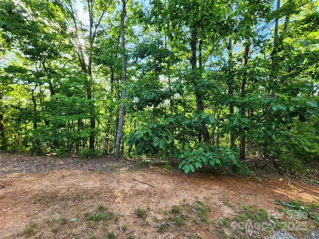 a view of outdoor space and trees