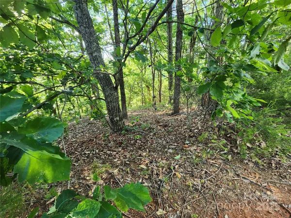 a view of a road with a yard
