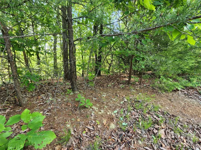 a backyard of a house