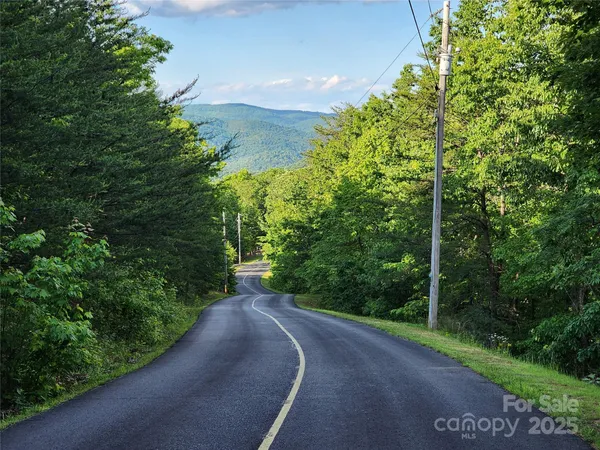 a view of a forest with trees