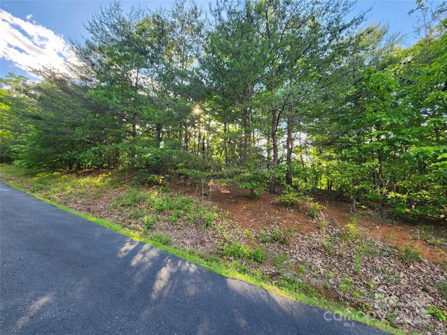 a bathroom with a sink and a shower curtain