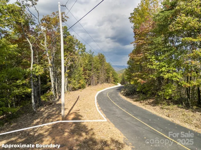 a view of a yard with plants and wooden fence