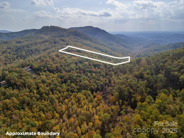a view of a mountain in the distance in a field