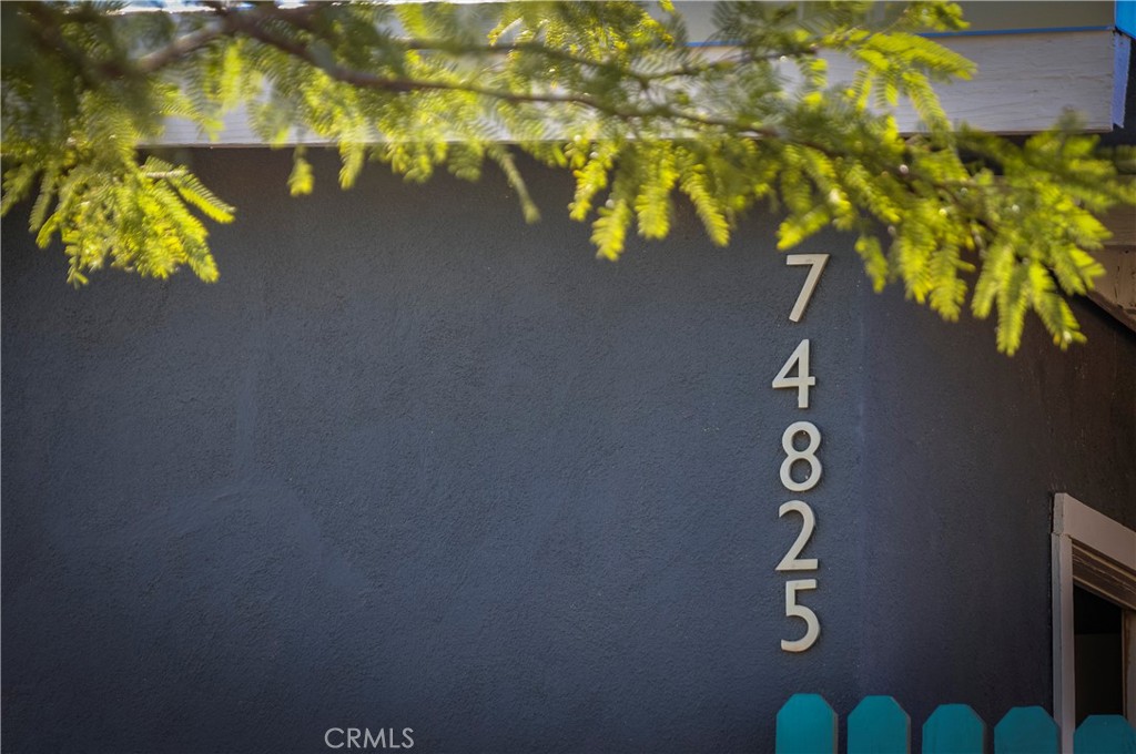 74825 Alta Loma Drive Twentynine Palms, CA 92277 - Photo 36 of 36 a close up of a plant