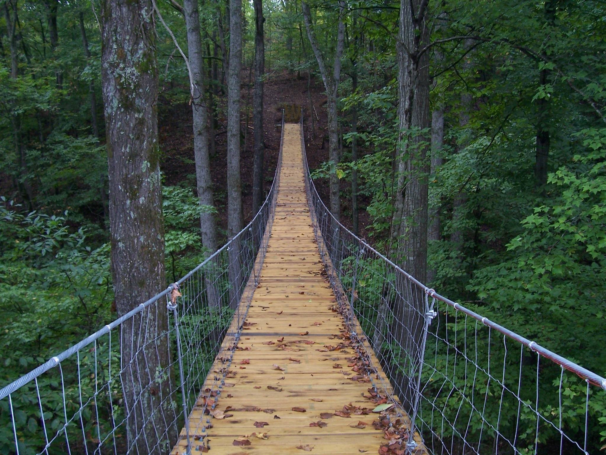 613 Waters Edge Drive Estill Springs, TN 37330 - Photo 36 of 36 a view of a balcony
