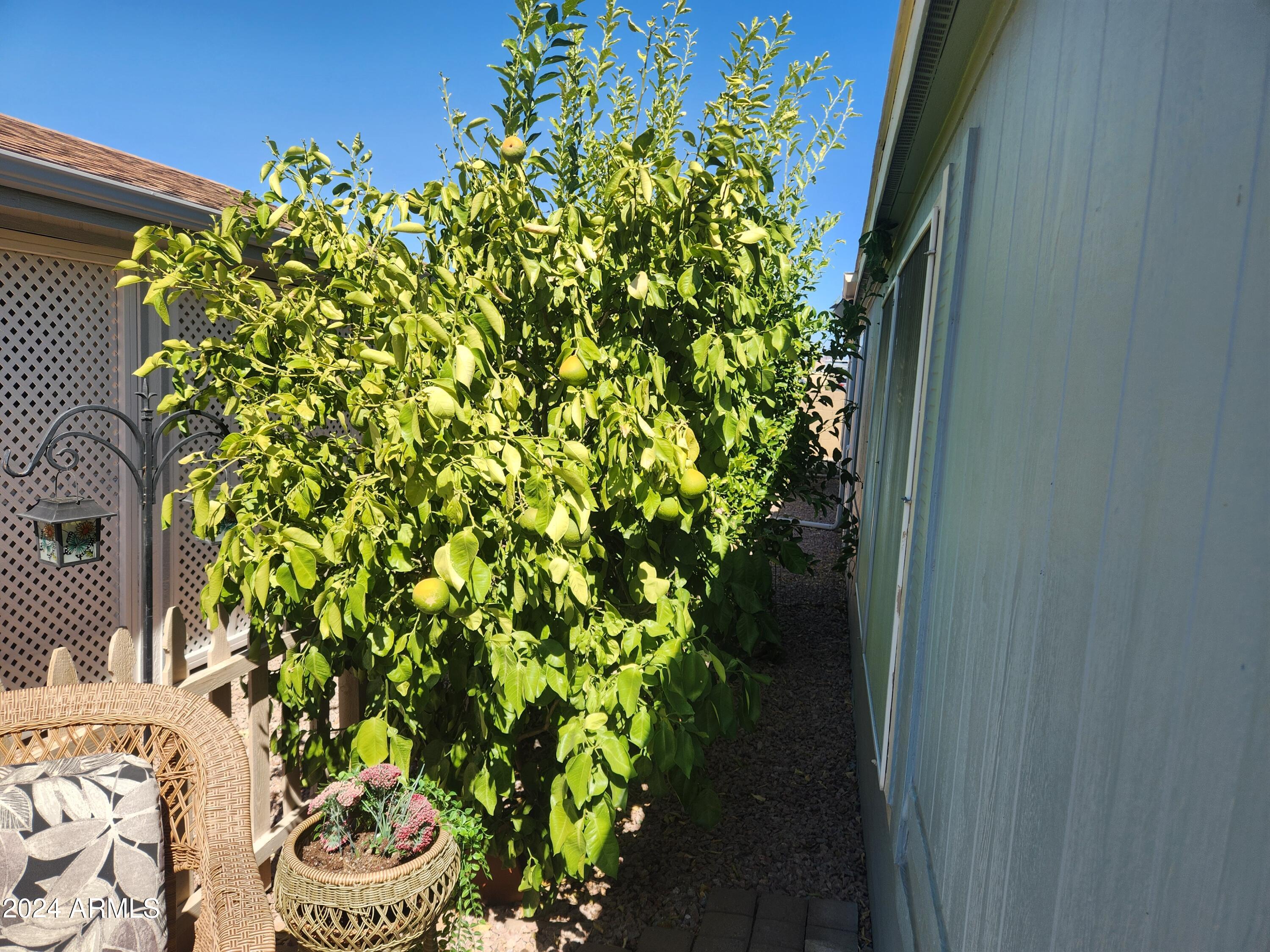 3500 South Tomahawk Road, Unit 113 Apache Junction, AZ 85119 - Photo 24 of 25 20240923_113011