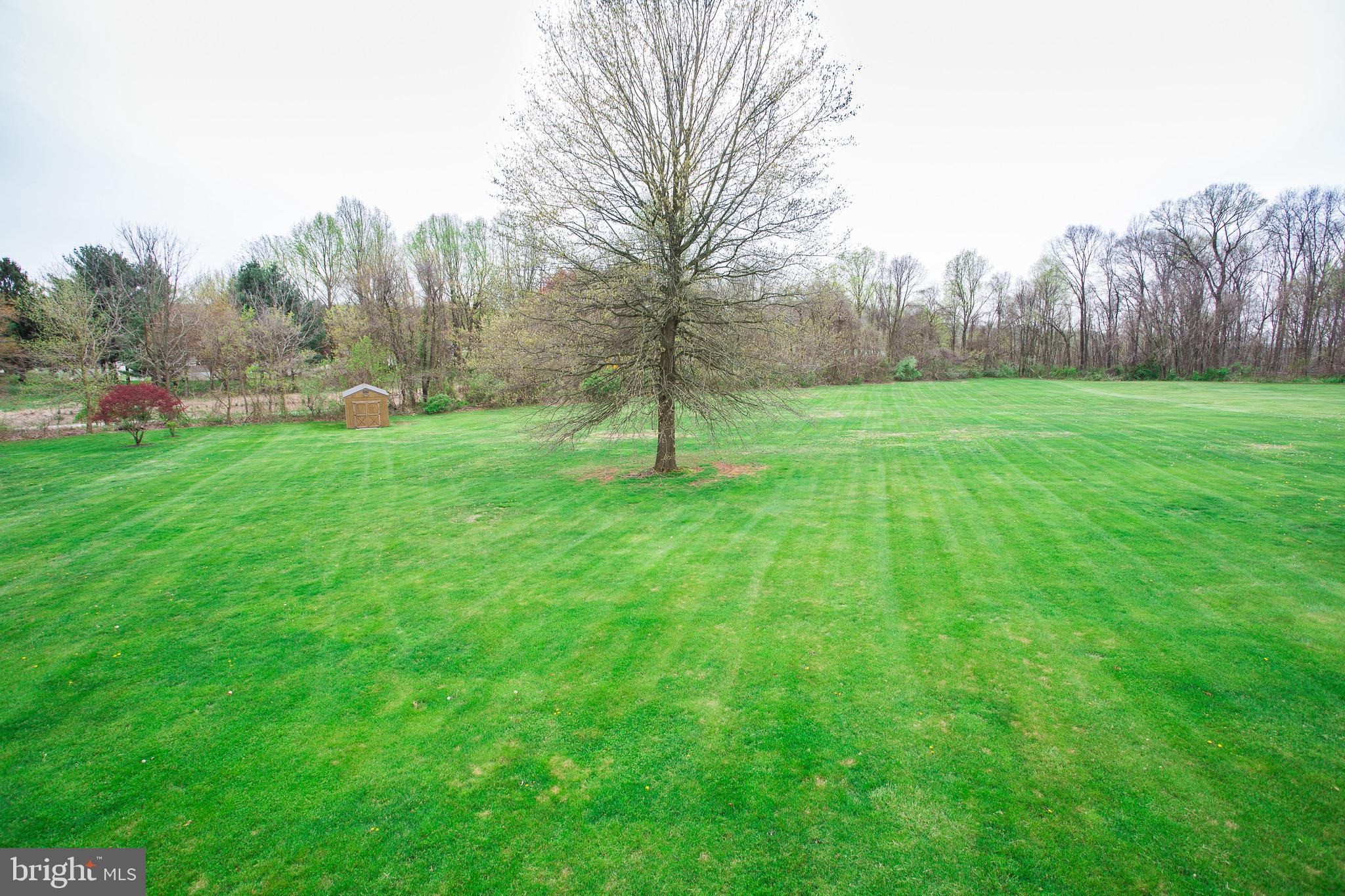 135 Surrey Lane Rising Sun, MD 21911 - Photo 41 of 41 Back yard