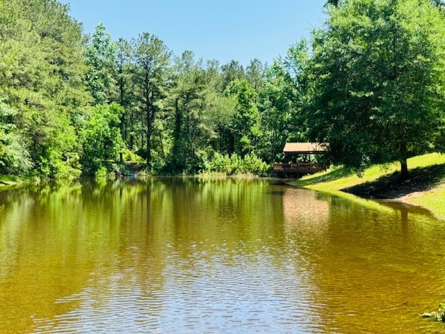 107 Brock Road Tylertown, MS 39667 - Photo 3 of 54 Photo 3