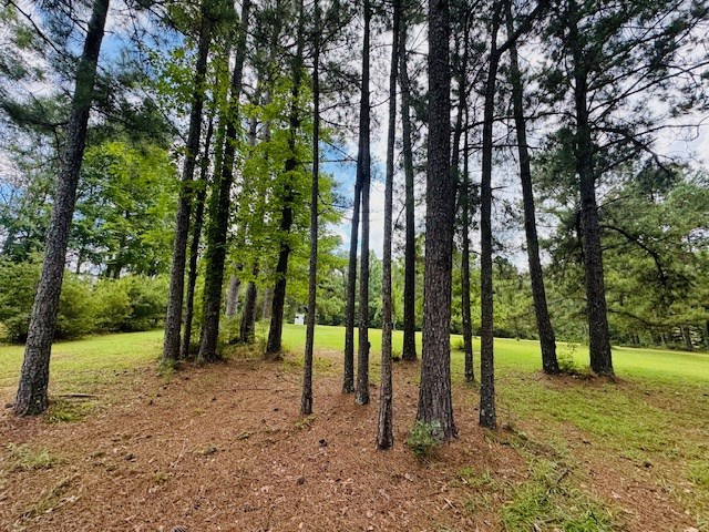 107 Brock Road Tylertown, MS 39667 - Photo 37 of 54 Photo 37