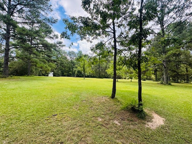 107 Brock Road Tylertown, MS 39667 - Photo 38 of 54 Photo 38