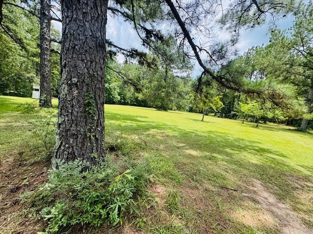 107 Brock Road Tylertown, MS 39667 - Photo 39 of 54 Photo 39