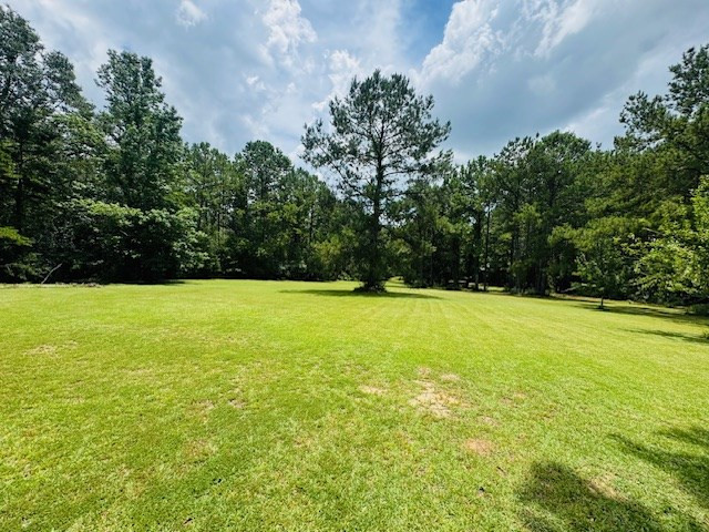 107 Brock Road Tylertown, MS 39667 - Photo 40 of 54 Photo 40