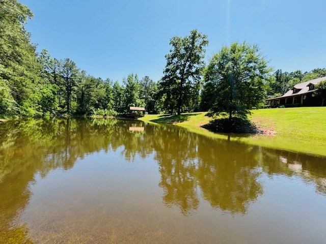 107 Brock Road Tylertown, MS 39667 - Photo 4 of 54 Photo 4