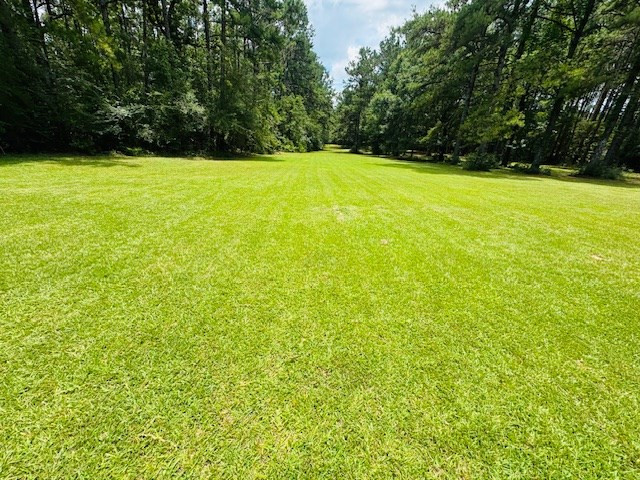 107 Brock Road Tylertown, MS 39667 - Photo 42 of 54 Photo 42