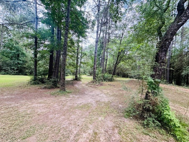 107 Brock Road Tylertown, MS 39667 - Photo 45 of 54 Photo 45