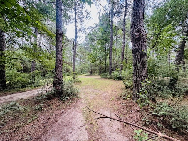 107 Brock Road Tylertown, MS 39667 - Photo 46 of 54 Photo 46