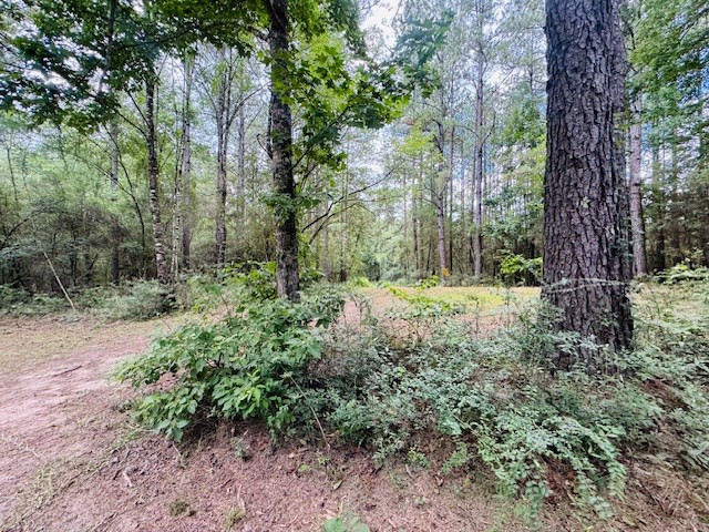 107 Brock Road Tylertown, MS 39667 - Photo 47 of 54 Photo 47