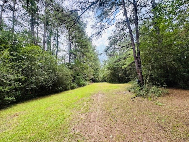 107 Brock Road Tylertown, MS 39667 - Photo 49 of 54 Photo 49