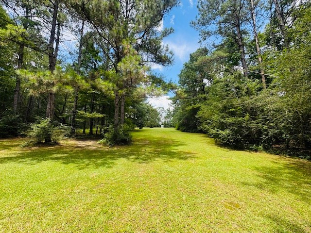 107 Brock Road Tylertown, MS 39667 - Photo 50 of 54 Photo 50