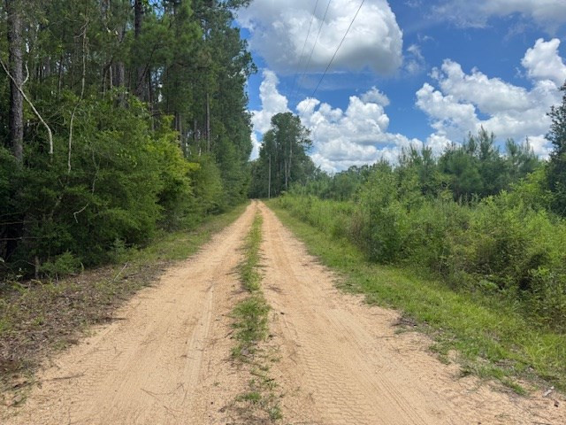 107 Brock Road Tylertown, MS 39667 - Photo 51 of 54 Photo 51