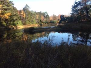 792 Finntown Road Waldoboro, ME 04572 - Photo 1 of 2 20190910180557685711000000