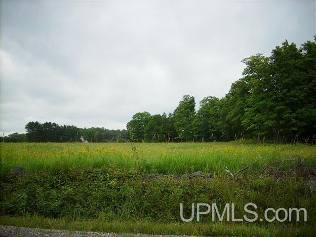 155 Buck Lake Park Road Crystal Falls, MI 49920 - Photo 11 of 13 Gallery Image 11