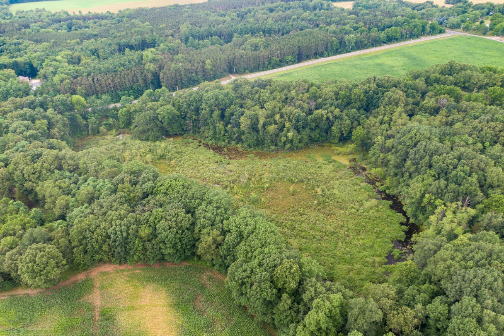 Payne Lake Road Middleville, MI 49333 - Photo 3 of 4 11911 Bass Rd, Middleville, MI 49333 NW-