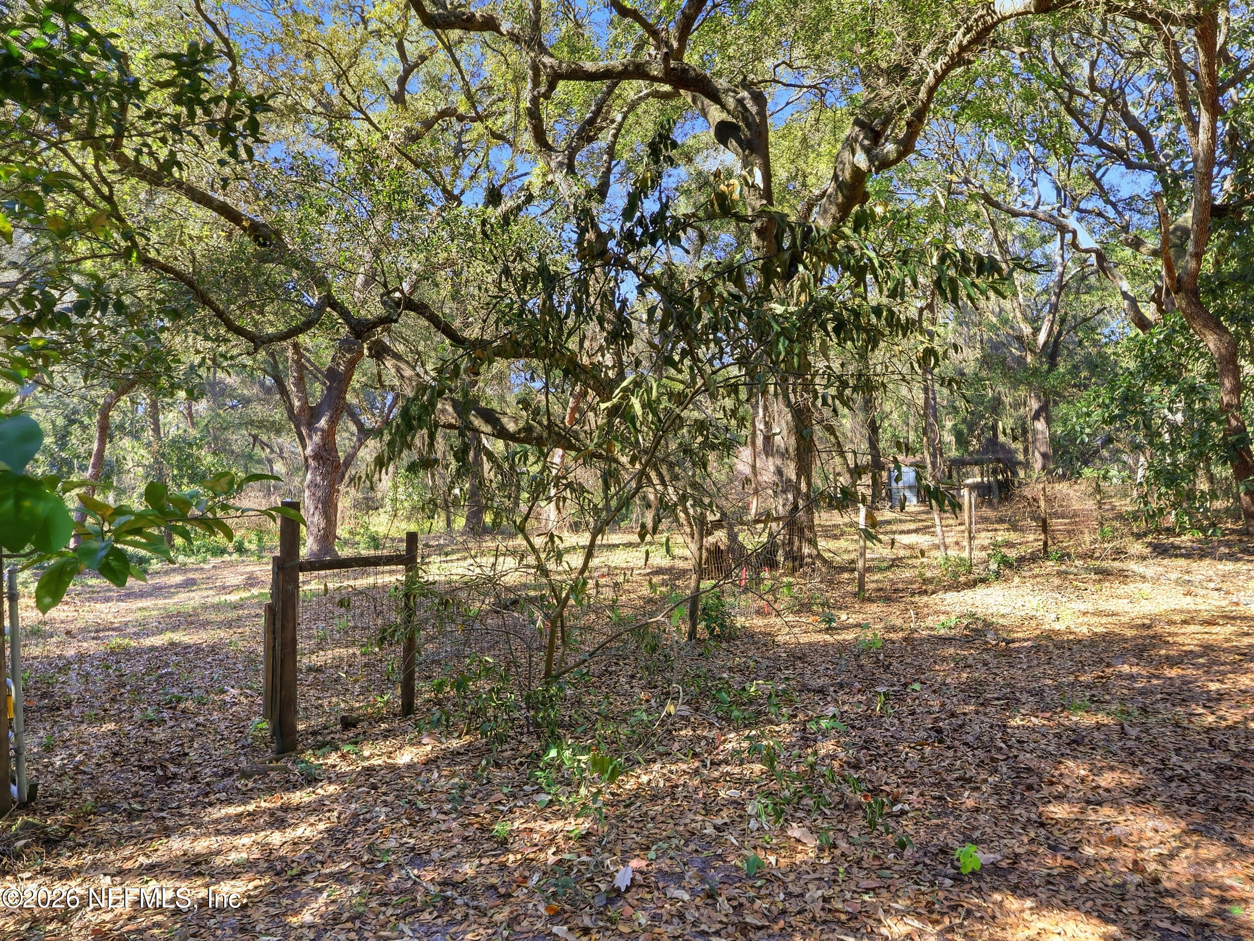8336 Singleton Place Keystone Heights, FL 32656 - Photo 47 of 56 a backyard of a house with lots of green space