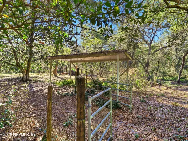 a view of a tree with a yard
